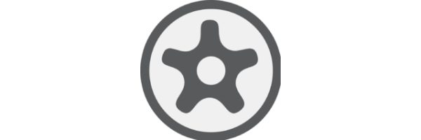 TS-Profil (für Torx Plus)
