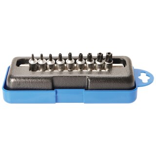 BGS technic Bit-Einsatz-Satz | Antrieb Innenvierkant 6,3 mm (1/4") | TS-Profil (für Torx Plus) mit Bohrung | 9-tlg.