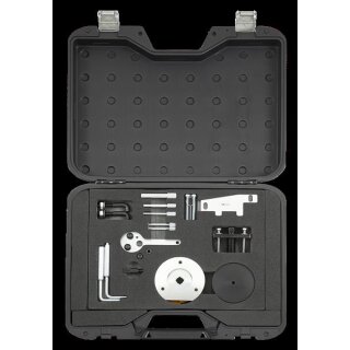Sonic Motoreinstell- & Einspritzpump-Fixier-Satz Ford/LDV Diesel -