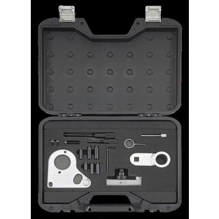 Sonic Motoreinstellwerkzeug-Satz Renault/Opel/Nissan Diesel (Kette