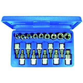 Condor Steckschlüssel-Einsätze, 19-tlg., 1/2", T-Profil SLB / E-Profil
