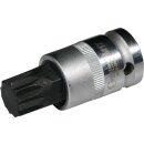 Condor Bit-Stecknuss, 1/2", Vielzahn M17, MB LKW...
