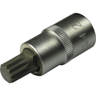 Condor Bit-Stecknuss, 1/2", Vielzahn M8x55 mm