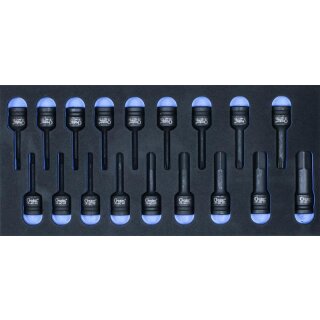 Condor Schaumeinlage T-Profil + Innensechskant, 1/3, 18-tlg., 1/2"