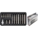 Kraftmann Bit-Satz | Antrieb Außensechskant 10 mm...