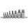 BGS technic Bit-Einsatz-Satz | Innenvielzahn (für XZN) | M4 - M16 | 8-tlg.