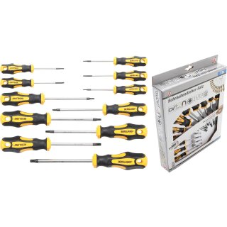 Kraftmann Schraubendreher-Satz | T-Profil (für Torx) T6 - T40 | 11-tlg.