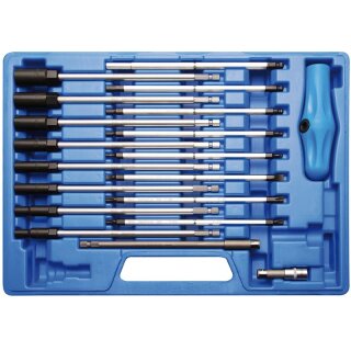 BGS technic T-Griff-Schraubendreher- und Steckschlüssel-Satz | 19-tlg.