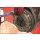 KS-TOOLS Universal-Kupplungs-Zentrier-Werkzeug-Satz Ø 15,0 26,0 mm, 19-tlg.