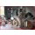 KS-TOOLS Bremsscheibenmesswerkzeugsatz, 3-tlg.