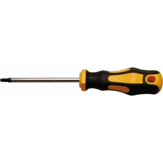 Kraftmann Schraubendreher | T-Profil (für Torx) T25 | Klingenlänge 100 mm