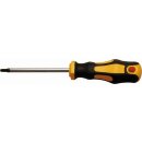 Kraftmann Schraubendreher | T-Profil (für Torx) T25...