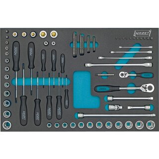 HAZET Steckschlüssel-Satz, TORX® Doppel-Ringschlüssel, Steckschlüssel usw. 163-53/75 | Vierkant12,5 mm (1/2 Zoll), Vierkant10 mm (3/8 Zoll), Vierkant6,3 mm (1/4 Zoll), Sechskant6,3 (1/4 Zoll) | Außen TORX® Profil, Tamper Resistant TORX® Profil, Innen TORX