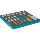 HAZET Schraubendreher-Steckschlüsseleinsatz Satz 163-119/23 | Vierkant12,5 mm (1/2 Zoll) | Innen-Sechskant Profil, Innen Vielzahn Profil XZN | Anzahl Werkzeuge: 23