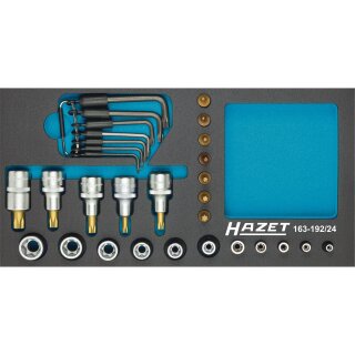 HAZET Steckschlüssel-Satz TORX® 163-192/24 | Vierkant12,5 mm (1/2 Zoll), Vierkant6,3 mm (1/4 Zoll) | Außen TORX® Profil, Innen TORX® Profil | Anzahl Werkzeuge: 24