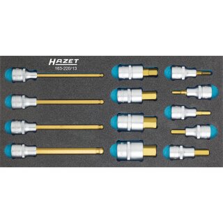 HAZET Schraubendreher-Steckschlüsseleinsatz Satz 163-220/13 | Vierkant12,5 mm (1/2 Zoll) | Innen-Sechskant Profil | Anzahl Werkzeuge: 13