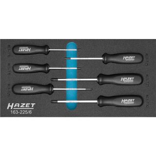 HAZET Schraubendreher-Satz TORX® 163-225/6 | Innen TORX® Profil | Anzahl Werkzeuge: 6 | T?10  T?30