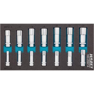 HAZET Steckschlüssel-Einsatz-Satz 163-259/14 | Vierkant10 mm (3/8 Zoll) | Außen-Doppel-Sechskant-Tractionsprofil | Anzahl Werkzeuge: 14 | 9  22