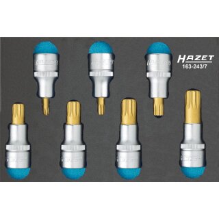 HAZET Schraubendreher-Steckschlüsseleinsatz Satz (XZN) 163-243/7 | Vierkant12,5 mm (1/2 Zoll) | Innen Vielzahn Profil XZN | Anzahl Werkzeuge: 7 | M6  M18