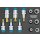 HAZET Werkzeug-Satz, TORX® 163-245/12 | Vierkant12,5 mm (1/2 Zoll) | Außen TORX® Profil, Innen TORX® Profil | Anzahl Werkzeuge: 12 | E?10  E?20 | T?30  T?60