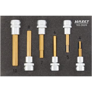 HAZET Schraubendreher-Steckschlüsseleinsatz Satz 163-302/6 | Vierkant10 mm (3/8 Zoll) | Innen-Sechskant Profil | Anzahl Werkzeuge: 6 | 4  10