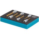 HAZET Schraubendreher-Steckschlüsseleinsatz Satz 163-302/6 | Vierkant10 mm (3/8 Zoll) | Innen-Sechskant Profil | Anzahl Werkzeuge: 6 | 4  10