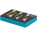 HAZET Schraubendreher-Steckschlüsseleinsatz Satz 163-302/6 | Vierkant10 mm (3/8 Zoll) | Innen-Sechskant Profil | Anzahl Werkzeuge: 6 | 4  10