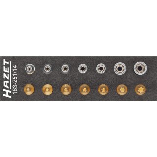 HAZET Werkzeug-Satz, TORX® 163-251/14 | Vierkant6,3 mm (1/4 Zoll) | Außen TORX® Profil, Innen TORX® Profil | Anzahl Werkzeuge: 14 | E?4  E?11 | T?10  T?40
