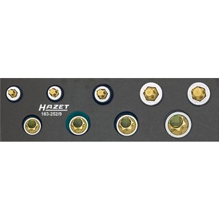 HAZET Werkzeug-Satz, TORX® 163-252/9 | Vierkant10 mm (3/8 Zoll) | Außen TORX® Profil, Innen TORX® Profil | Anzahl Werkzeuge: 9 | E?8  E?14 | T?25  T?50