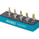 HAZET Werkzeug-Satz, TORX® 163-252/9 | Vierkant10 mm (3/8 Zoll) | Außen TORX® Profil, Innen TORX® Profil | Anzahl Werkzeuge: 9 | E?8  E?14 | T?25  T?50