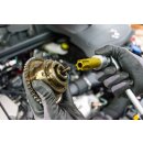 HAZET Nockenwellen-Versteller TORX® Schraubendreher-Einsatz mit Bohrung 2788-T100H | Vierkant12,5 mm (1/2 Zoll) | Tamper Resistant TORX® Profil | 100 mm