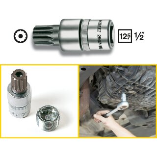 HAZET Öldienst Schraubendreher Steckschlüssel-Einsatz 2567-16 | Vierkant12,5 mm (1/2 Zoll) | Innen Vielzahn Profil XZN mit Zapfen