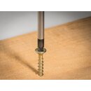 HAZET Schraubendreher-Satz 810/6PZ | Schlitz Profil, Pozidriv Profil PZ | Anzahl Werkzeuge: 6 | 0.5 X 3  1.2 X 6.5 | PZ1  PZ2
