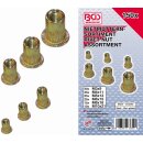 BGS technic Nietmuttern-Sortiment | verzinkter Stahl |...