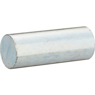 Vigor PRESS-ACHSE 50 X Ø 19 MM