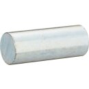 Vigor PRESS-ACHSE 50 X Ø 19 MM