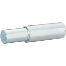 Vigor PRESS-ACHSE 100 X Ø 24 MM