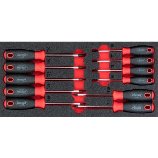 Vigor WEICHSCHAUMEINLAGE 1/3+ TORX SCHRAUBENDR