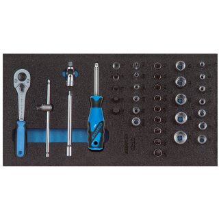 Gedore Steckschlüssel-Satz 1/4“ In 1/3 Check-Tool-Modul