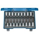 Gedore Schraubendreher-Satz 1/2" 18-tlg Innen-TORX...
