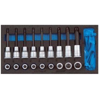 Gedore Satz Schraubendrehereinsätze1/2“ In 1/3 Check-Tool-Modul
