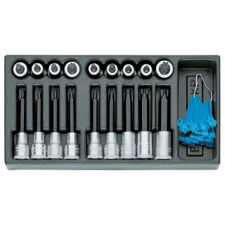 Gedore Satz Schraubendrehereinsätze 1/2" in 1/3 ES-Modul