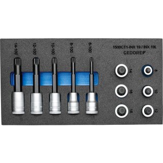Gedore Satz Schraubendrehereinsätze 1/2" in Check-Tool-Modul