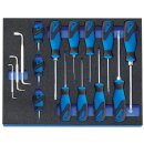 Gedore Schraubendreher-Satz in Check-Tool-Modul, 15-tlg