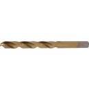 BGS technic Spiralbohrer | HSS-G | titan-nitriert | 10,0 mm