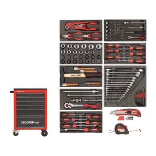 Gedore red Wkz.Satz i.Wks.Wagen MECHANIC rot 119tlg