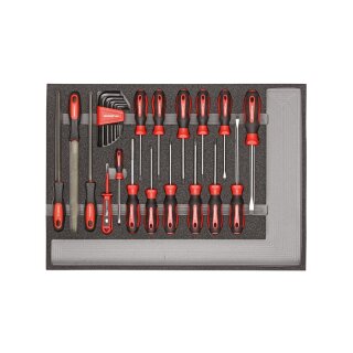 Gedore red Wkz.Satz Schr.Dr.+Feilen CT-Modul 26tlg