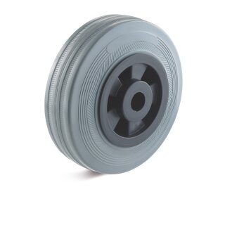 Torwegge RAD Ø 100mm Tragfähigkeit 70 kg