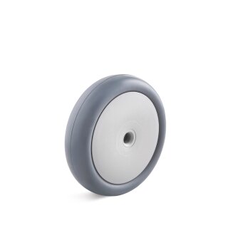 Torwegge RAD Ø 100mm Tragfähigkeit 65 kg