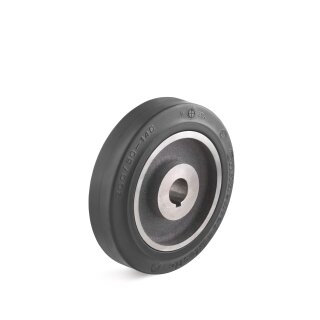 Torwegge RAD Ø 200mm Tragfähigkeit 350 kg